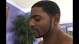 Aqua Hazel Passionate Girl