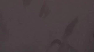Shadows of Ambition #22 Animated Porn Game