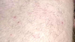 Hot Wife Loves to Suck Cocks and Lick Balls