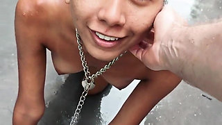 My Owner Took Me to Play in the Backyard on a Rainy Day