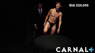 The Auction THE BOY COLTON Vol. 1