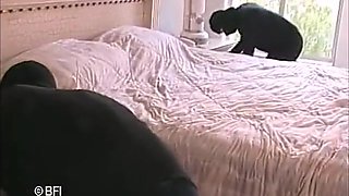 Anal Addicts 8