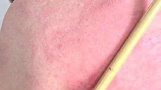 Sub Begs Mistress to Take Him Back