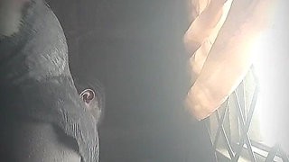 lv_0_20250703194531.mp4