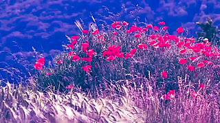 New Bangla Choti Golpo 2025