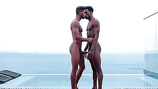 # Two Friends - 534