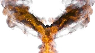 Watch sublime tomato's action