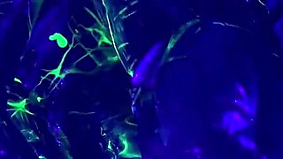 Rubber Double Fisting with Uv Slime