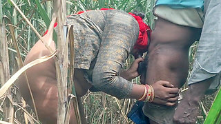 Desi Hot Village Labour Women Fuck in Sugarcane Field