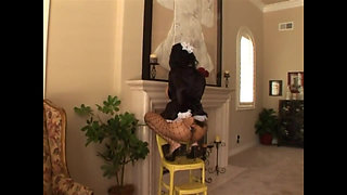 Big cock in the ass for a busty Latina