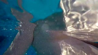 Julia's Pool Party Sex - Big Natural Tits Underwater Fuck
