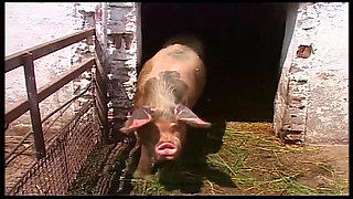 Vintage Blonde MILF Ravished in Barn and Outdoors