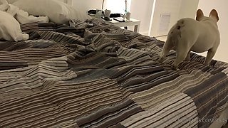 Amateur Hidden Cam with Dildo Wives