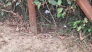 Masturbating Outdoors for Hot Redhead Who Liked It