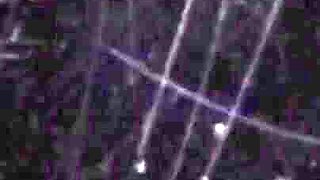 Walking Forest - Video for Fans with Slowmotion