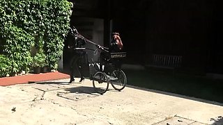 Amateur milf outdoors blowjob and fucking