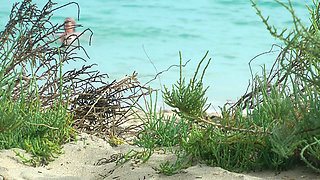 Watching on the beach as Isa has fun