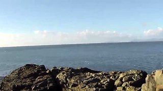 Amateur Mature Blowjob on the Beach