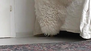 Sexy High Heel Sandals Show, Cum on Feet POV, Lady Victoria Valente