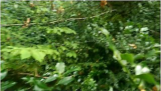 Forest / Wood Blow Job And Facial