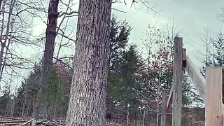 Czech amateur blowjob and fucking POV in public