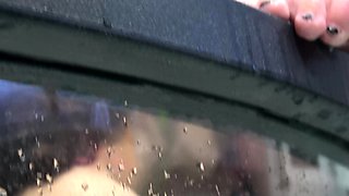 Horny  Flashing PussyHd