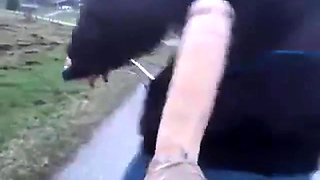 Twink's Toy Ride