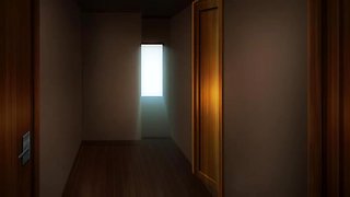 Hidden Illusion without control_19072603p0