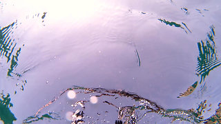 Snorkeling Vlog Real Couple Outdoor
