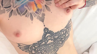 A Small Body Tour to Give You