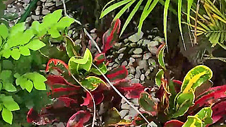 Mypervyfamily - Sneak Peek with Jennifer White & Tony Rubino