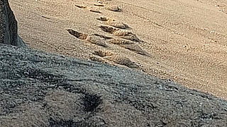 A Stranger Touched My Body on the Beach.