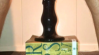 Hot gay twink loves to take his huge stinger toy