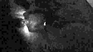 Ma chienne french amateur couple hidden cam 1