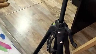 neighbor lets herself be recorded