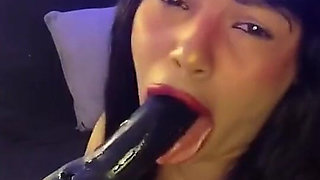 I Suck Your Cock, Stepdaddy