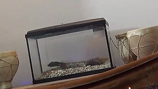 Cheating with the Young Builder Gets Shooting Star a Big Discount