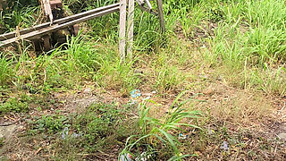 Sex in the Bush No Dulling