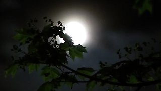 Amateur Asian Japanese Group Fuck JennaSexCam