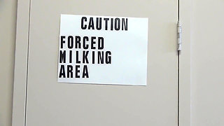 Bossy Sasha Volume 2 Featuring Sasha