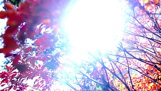 Amateur Asian Japanese Anal Creampie