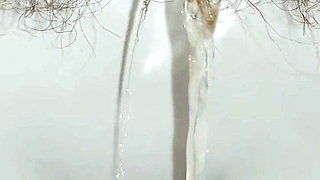 Woman Pissing in the Toilet, Golden Shower, Hairy Pussy Pee