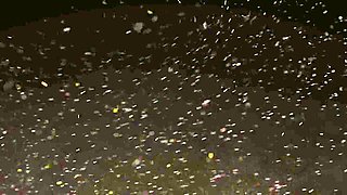 Masti Ki Paathsaala Hot Indian Web Series - Amateur desi mom gets cum in mouth