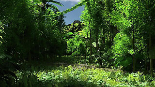 The Lust City 2 - Sophia Gets Massive Creampie in the Jungle