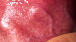 Goddess Anya Queen’s POV View Extreme Oral & Wet Asmr