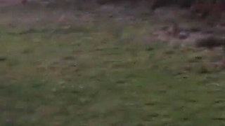 MILF Swinger Wife Scarlett March Sucks off Dogger in the Woods