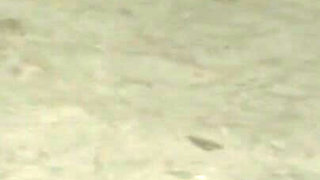 Amateur slave bdsm while hogtied upside down