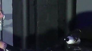 Lady Valeska and Miss Patricia have their sub over a bench.