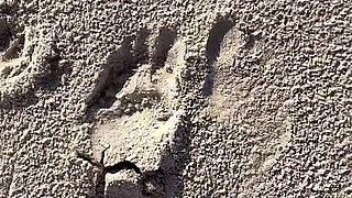 Comparing Size 16 Feet to Sand Prints at the Beach