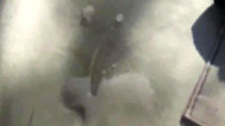 Blowjob outdoor in the forest  and cum in the mouth